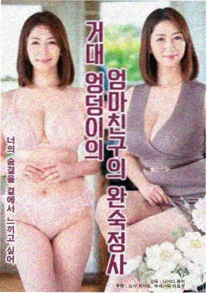 站内片库小样封面三